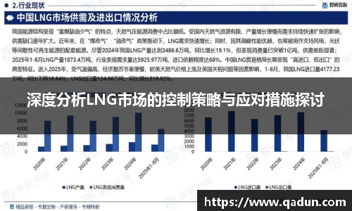 深度分析LNG市场的控制策略与应对措施探讨